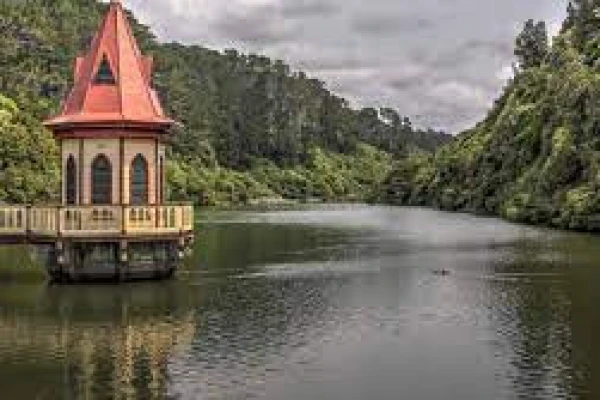 Zealandia  Wild Life Sanctuary