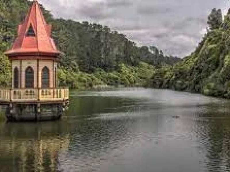 Zealandia  Wild Life Sanctuary