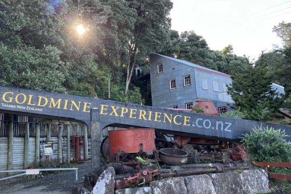 Thames Goldmine  Experience