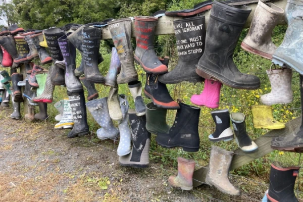 Gumboot Fence - Awakeri
