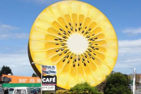 Giant Kiwifruit Slice -Te Puke 